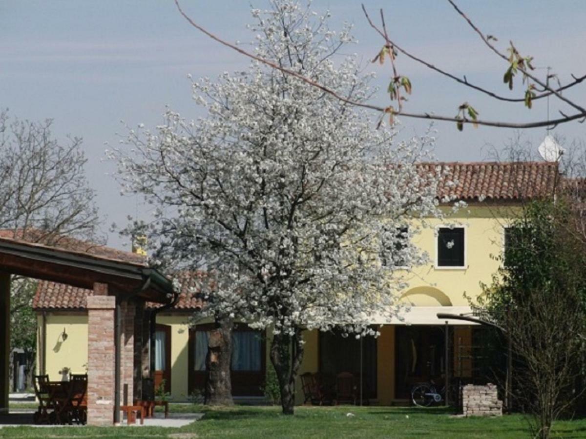 Particolari Del Brenta Apartment Oriago Di Mira Exterior photo